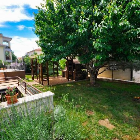 Ana M Apartments Novigrad  Zewnętrze zdjęcie