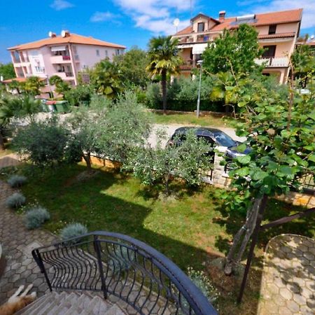 Ana M Apartments Novigrad  Zewnętrze zdjęcie