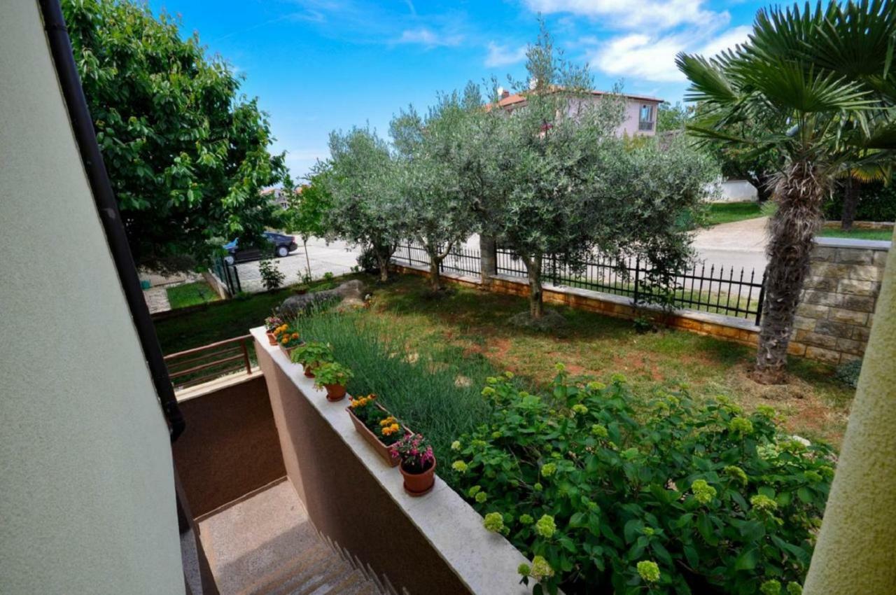 Ana M Apartments Novigrad  Zewnętrze zdjęcie